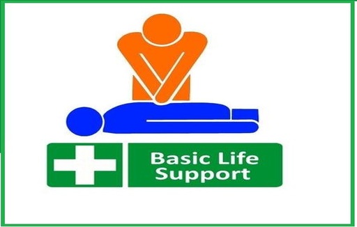Basic Life Support Online Course