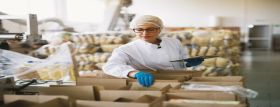 Food Safety in Manufacturing Level 2