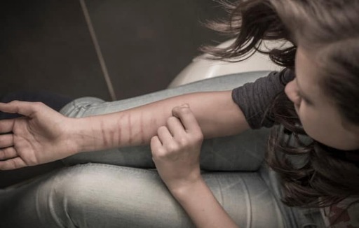 Self Harm Online Course