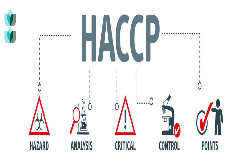 Frequently Asked Questions About HACCP